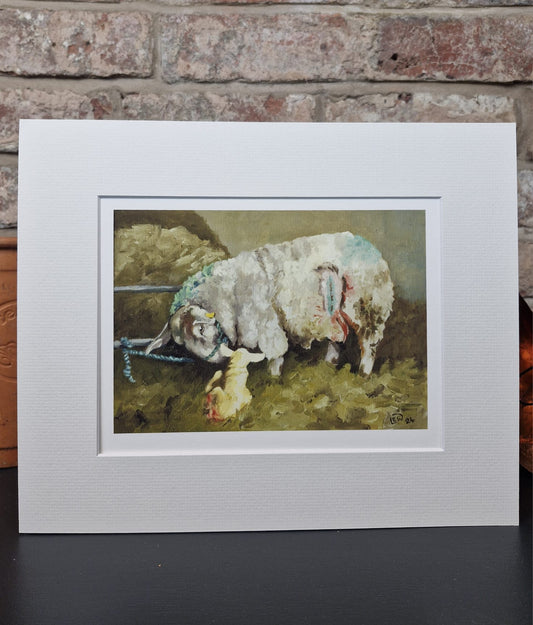 "A Years Work" - Limited Edition Fine Art Print